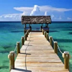 goa tour taxi